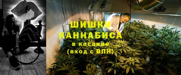шишки Горнозаводск